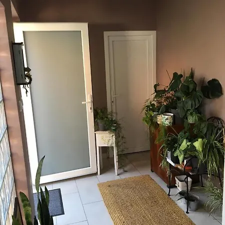 Apartment Bamboo House *