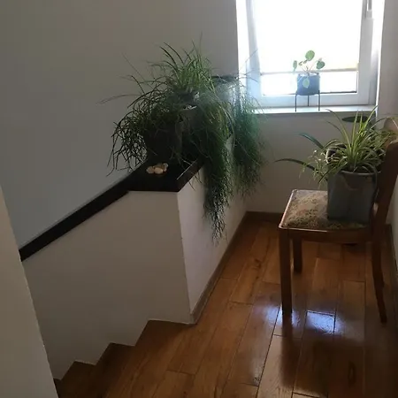 Bamboo House Zaboric