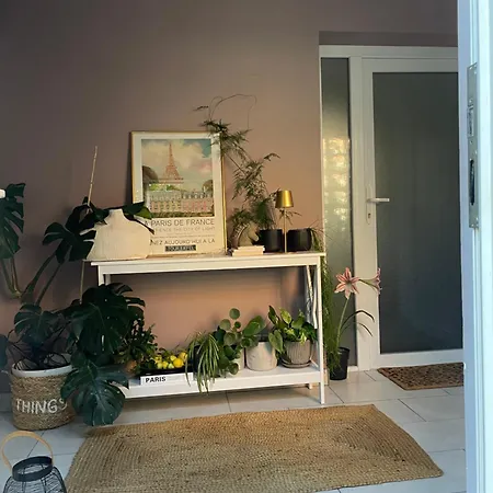 Apartman Bamboo House