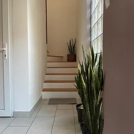 Bamboo House * Žaborić