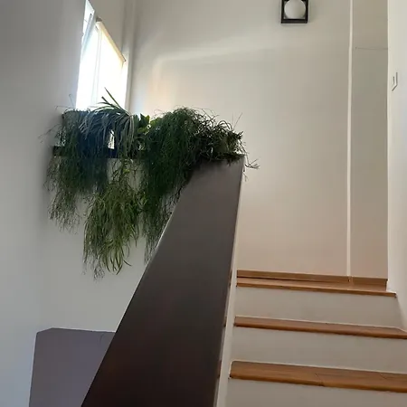 Appartamento Bamboo House
