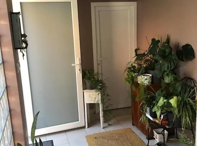 Apartment Bamboo House *