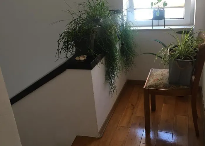 Bamboo House Zaboric