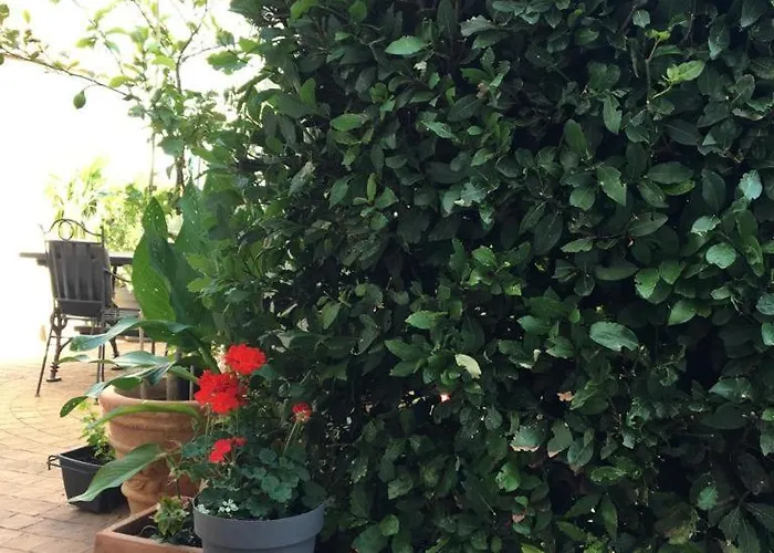 Bamboo House Appartement *