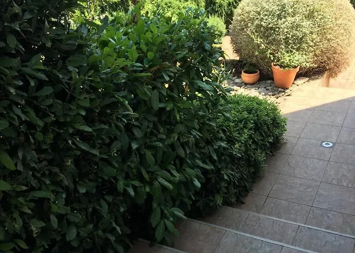 Appartement Bamboo House